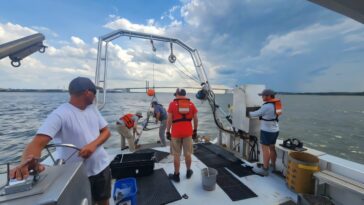 Menace mondiale de la contamination par le sel pour l'approvisionnement en eau dans les rivières de marée, compromettant les infrastructures critiques