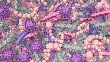 Microbiome intestinal modifié lié aux problèmes de fertilité chez les personnes atteintes de SOPK