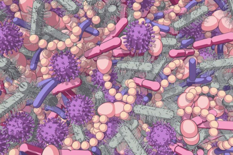 Microbiome intestinal modifié lié aux problèmes de fertilité chez les personnes atteintes de SOPK