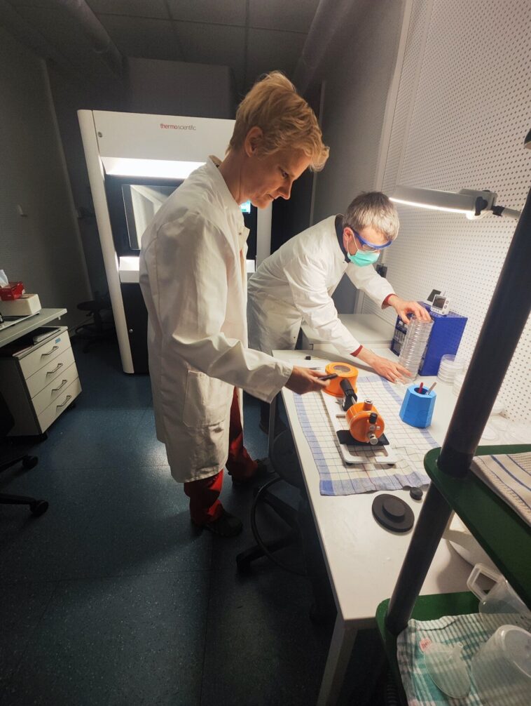 Microscopie cryo-électronique - cycle de réaction d'une enzyme pour la fixation du co₂ décodé