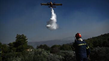 Nouveau incendie de forêt près d'Athènes, Crète Blaze `` Retreage '': les pompiers