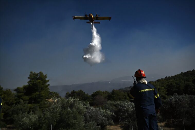 Nouveau incendie de forêt près d'Athènes, Crète Blaze `` Retreage '': les pompiers Nouveau incendie de forêt près d'Athènes, Crète Blaze `` Retreage '': les pompiers