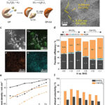 Nouvelle méthode pour convertir le dioxyde de carbone en méthanol, ouvrant la voie aux solutions d'énergie verte Nouvelle méthode pour convertir le dioxyde de carbone en méthanol, ouvrant la voie aux solutions d'énergie verte