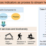 Outil d'évaluation de la santé des cours d'eau développé pour guider les efforts de restauration