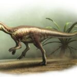 Petit dinosaure rapide et rapide reconnu comme une nouvelle espèce