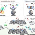 Plate-forme de capteur à haute sensibilité pour les diagnostics rapides des maladies