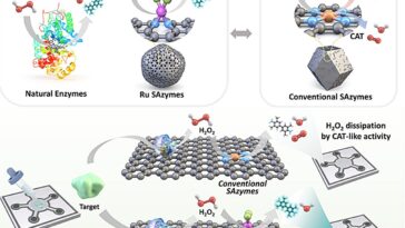 Plate-forme de capteur à haute sensibilité pour les diagnostics rapides des maladies