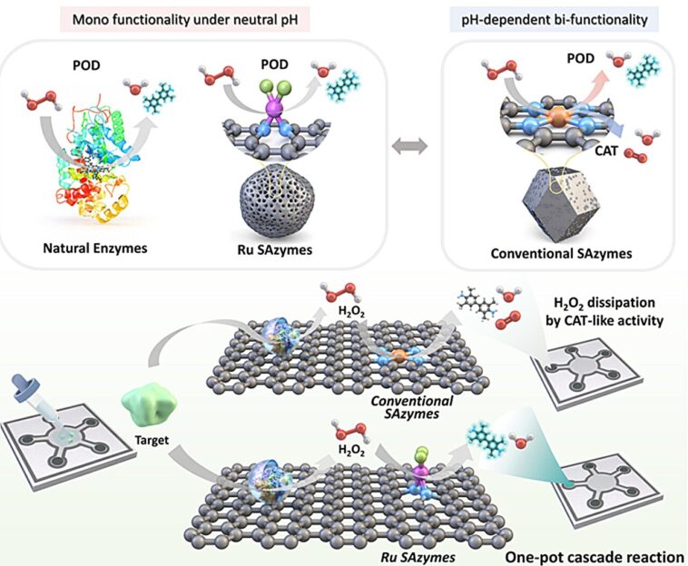 Plate-forme de capteur à haute sensibilité pour les diagnostics rapides des maladies