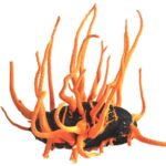 Pourquoi ces chenilles zombies ne peuvent pas arrêter de manger