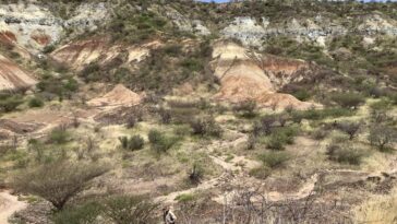 Protéines les plus anciennes encore récupérées à partir de dents de 18 millions d'années