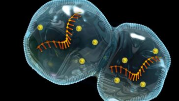 Protocellules s'auto-assemblage sur les micrométéorites indiquez les origines de la vie