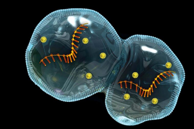 Protocellules s'auto-assemblage sur les micrométéorites indiquez les origines de la vie