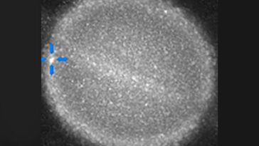 Quelque chose vient de frapper Saturne? Les astronomes courent pour découvrir