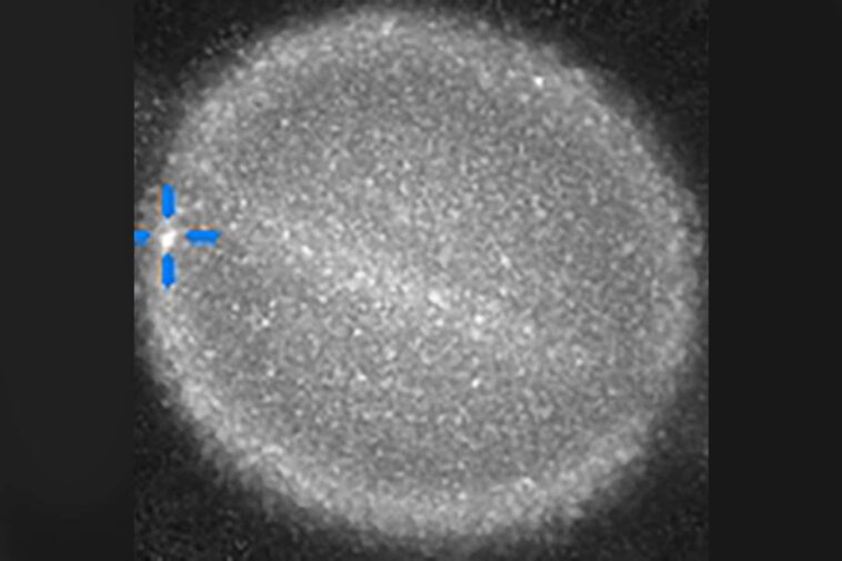 Quelque chose vient de frapper Saturne? Les astronomes courent pour découvrir