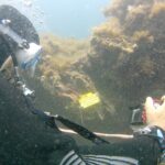 Recherche des vagues de chaleur dans l'océan: les plongeurs collectent des données de température Recherche des vagues de chaleur dans l'océan: les plongeurs collectent des données de température