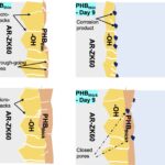 Retardage la corrosion d'un alliage de magnésium à l'aide d'un revêtement en polymère dans des conditions d'écoulement d'électrolytes dynamiques Retardage la corrosion d'un alliage de magnésium à l'aide d'un revêtement en polymère dans des conditions d'écoulement d'électrolytes dynamiques