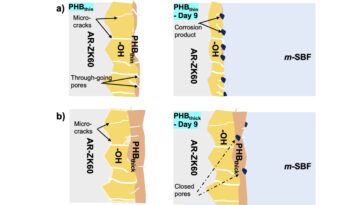 Retardage la corrosion d'un alliage de magnésium à l'aide d'un revêtement en polymère dans des conditions d'écoulement d'électrolytes dynamiques