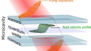 Simulant l'effet de colportage et d'autres prévisions de théorie du champ quantique avec des liquides polariton