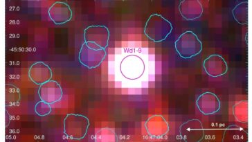 Supergiant Star WD1-9 a étudié en détail