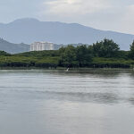 Tracer le voyage du carbone noir vers l'océan