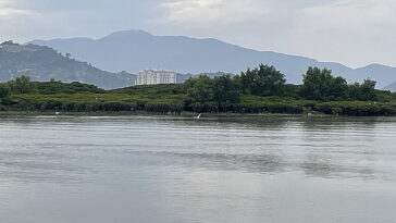 Tracer le voyage du carbone noir vers l'océan