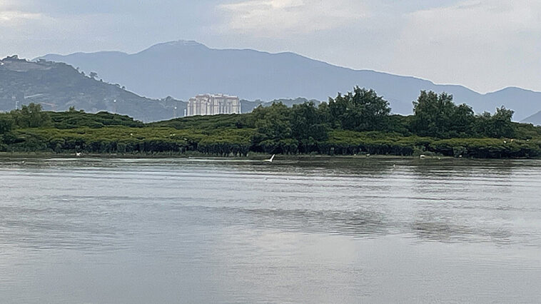 Tracer le voyage du carbone noir vers l'océan