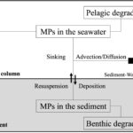 Transport et budget de masse des microplastiques biodégradables dans la mer intérieure de Seto Transport et budget de masse des microplastiques biodégradables dans la mer intérieure de Seto