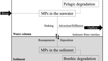 Transport et budget de masse des microplastiques biodégradables dans la mer intérieure de Seto
