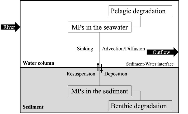 Transport et budget de masse des microplastiques biodégradables dans la mer intérieure de Seto