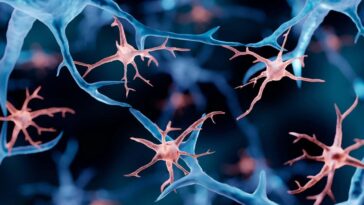 Trouble génétique mortel traité en remplaçant les cellules immunitaires du cerveau