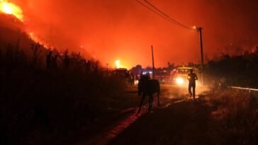 Turquie, la Bulgarie bat contre les incendies de forêt au milieu d'une vague de chaleur méditerranéenne