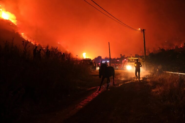Turquie, la Bulgarie bat contre les incendies de forêt au milieu d'une vague de chaleur méditerranéenne