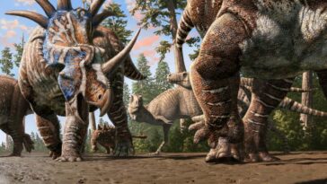 Un ensemble remarquable de pistes suggère que différents dinosaures rassemblés ensemble