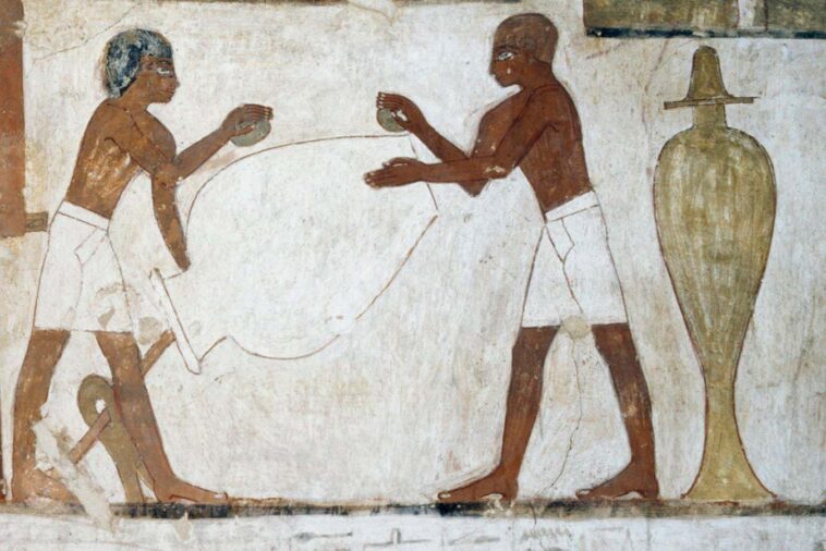 Un génome complet d'un ancien égyptien a été lu pour la première fois