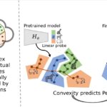 Un lien géométrique: la convexité peut combler l'intelligence humaine et machine