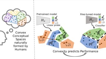 Un lien géométrique: la convexité peut combler l'intelligence humaine et machine