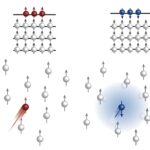 Un nouveau mécanisme pour réaliser le transport sélectif en rotation dans le désélénide de tungstène