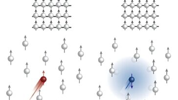 Un nouveau mécanisme pour réaliser le transport sélectif en rotation dans le désélénide de tungstène