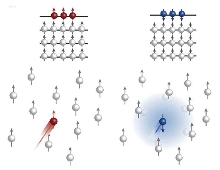 Un nouveau mécanisme pour réaliser le transport sélectif en rotation dans le désélénide de tungstène