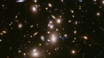 Une galaxie particulière semble contenir des étoiles étonnamment vierges