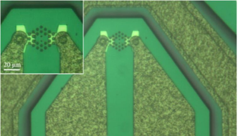 Une nouvelle approche permet aux lasers indépendants de coopérer pour les émissions de lumière unifiées Une nouvelle approche permet aux lasers indépendants de coopérer pour les émissions de lumière unifiées