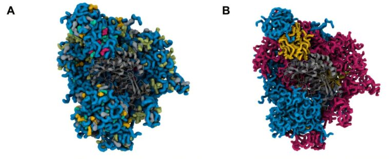 Une nouvelle plate-forme automatisée accélère la découverte de mélanges de matériaux polymères hautement performants