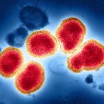 Une seule photo antivirale pourrait offrir une meilleure protection que les vaccins contre la grippe