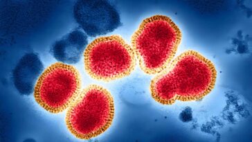 Une seule photo antivirale pourrait offrir une meilleure protection que les vaccins contre la grippe