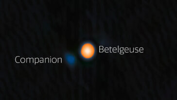 Voisin caché: les astronomes confirment l'étoile de compagnie suspectée à long terme près de Betelgeuse