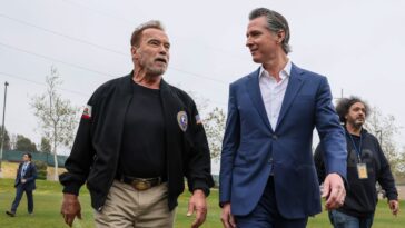 Arnold Schwarzenegger est prêt à affronter Gavin Newsom