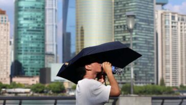 2024 a vu un nombre record de jours dangereusement chauds et humides