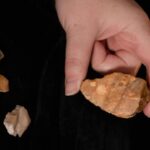 7 outils en pierre peuvent réécrire la chronologie de la migration hominidés en Indonésie