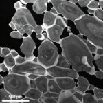 Apatite: le minéral avec morsure et perspicacité