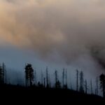 Après la 10e alerte de la qualité de l'air, le responsable du Michigan exhorte le Canada à faire plus d'incendies de forêt